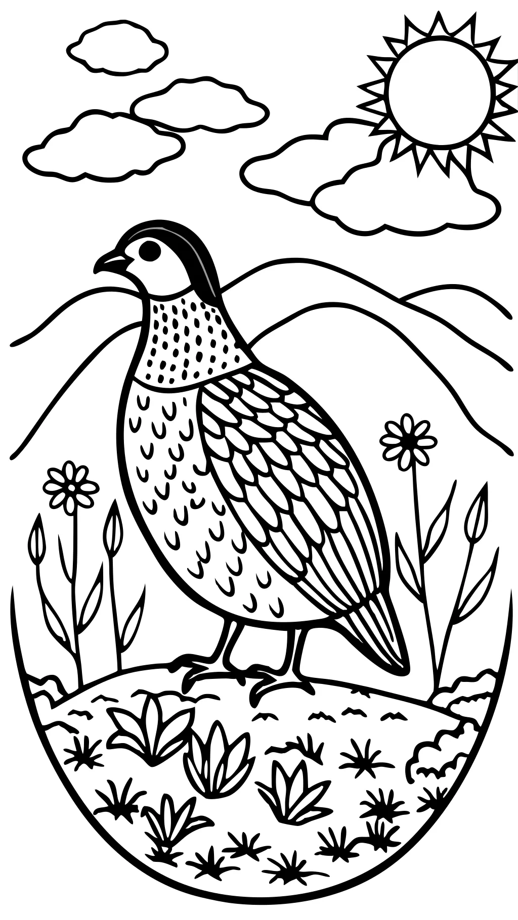 coloring page of a quail